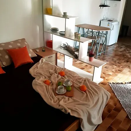 Studio Apartman Salkic Fažana